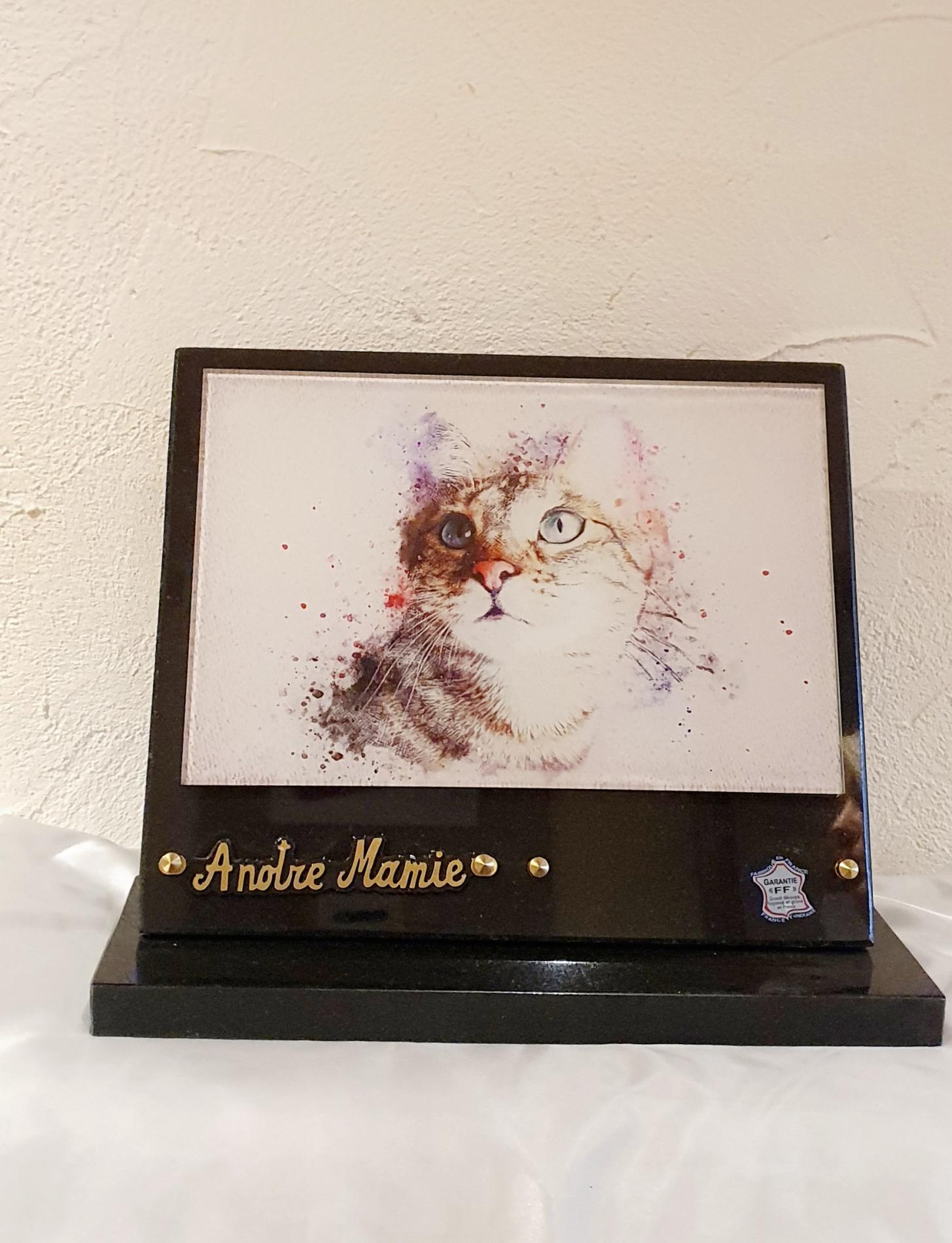 Plaque Granit et Altuglass 