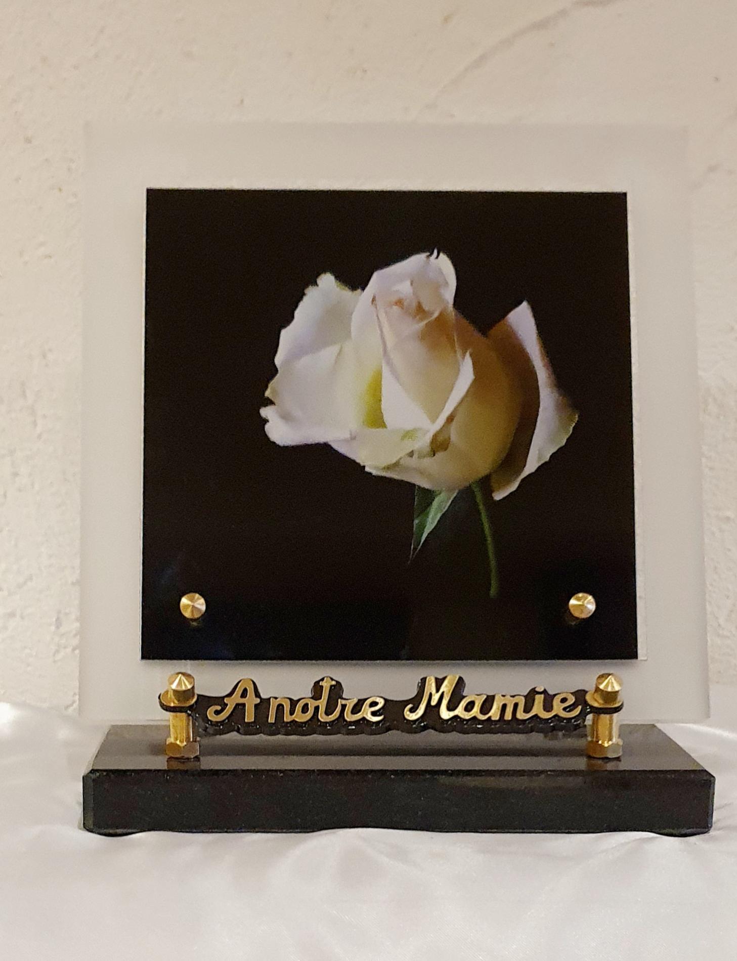 Plaque Altuglass socle granit 