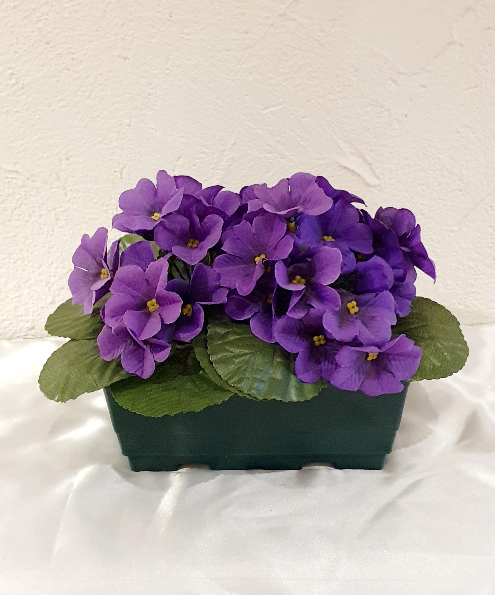 Jardinière Violettes