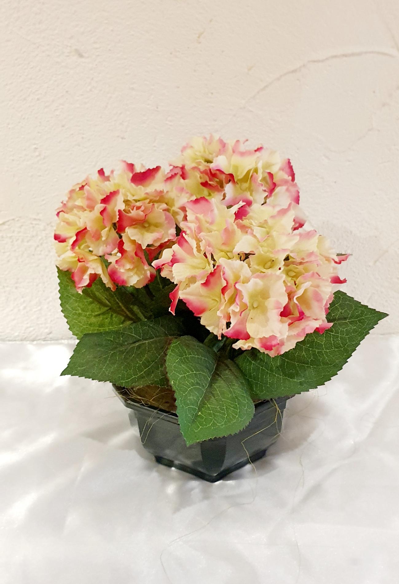 Pot Mini Hortensia